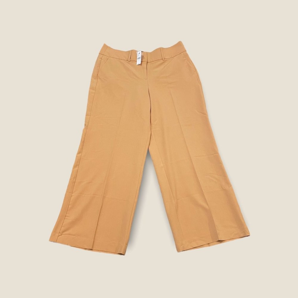 NWT Lane Bryant Pants
